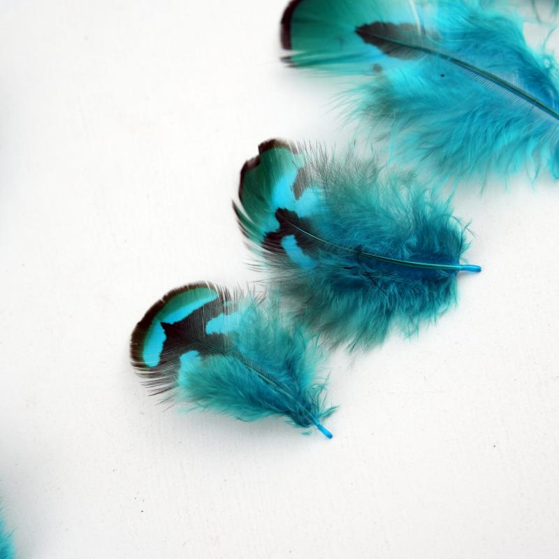 Natural DIY Pheasant Feathers  – Wedding Supply Bulk recenzja i cena