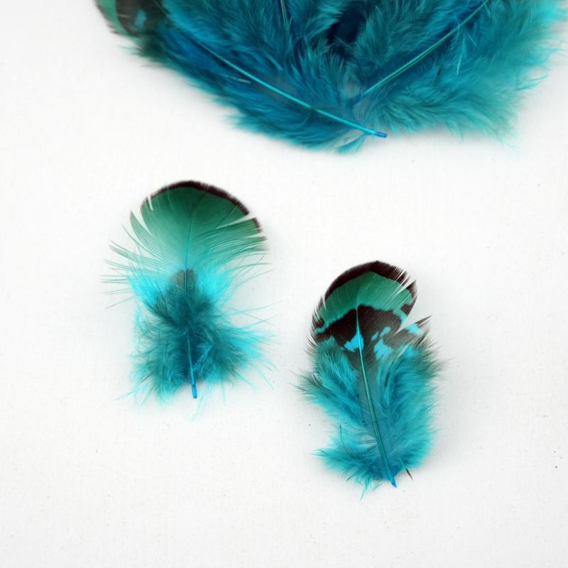 Natural DIY Pheasant Feathers  – Wedding Supply Bulk recenzja i cena
