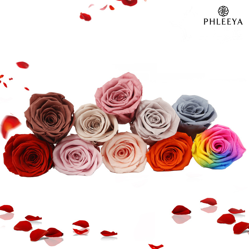 6pcs Eternal Rose Flower Heads – Wedding Supply Bulk recenzja i cena