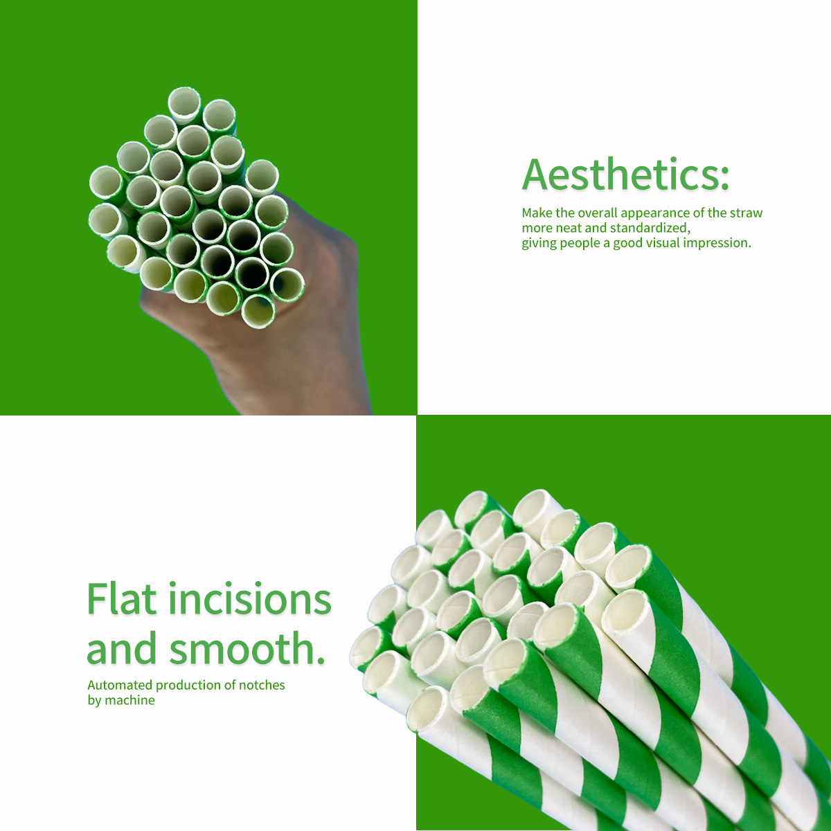 100 Pcs Biodegradable Green an – Wedding Supply Bulk recenzja i cena